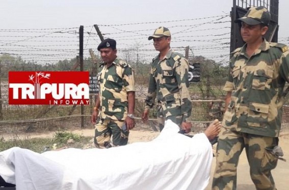 Cattle Smuggling : Bangladeshi national was Killed in BSF Firing in Indo-Bangla North Tripura Border Cattle Smuggling : Bangladeshi national was Killed in BSF Firing in Indo-Bangla North Tripura Border